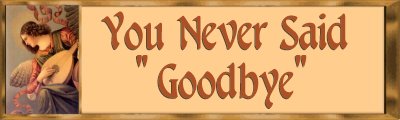 You Never Said Goodbye Banner