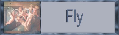 Fly Banner